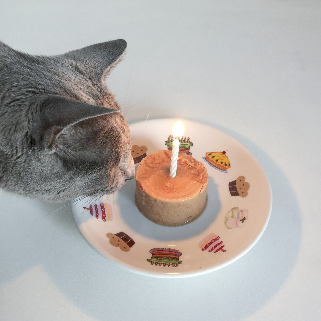 kot-rosyjski-trzecie-urodziny-tort