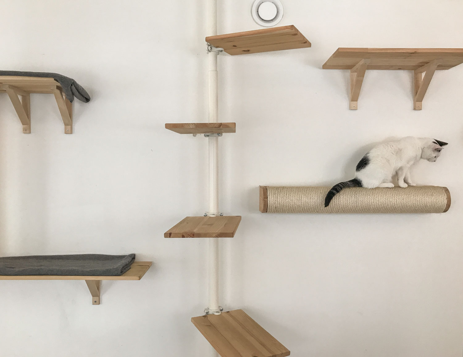 Polki na ścianie dla kotów